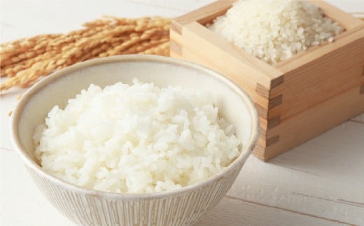 星農園 令和7年産ななつぼし「STAR RICE」（精米10kg） ブランド米 白米 米 コメ こめ お米 北海道米 【2025年10月下旬発送予定】