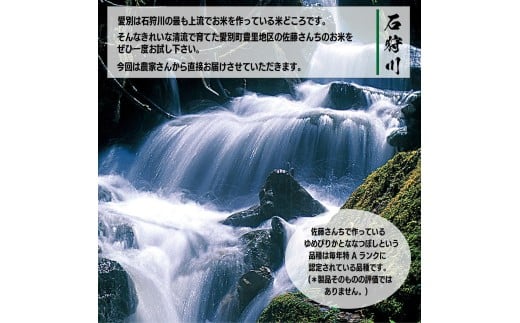 令和7年度産 ななつぼし 10kg 米 精米 白米 【2025年10月下旬～2026年3月下旬発送予定】 011-0025