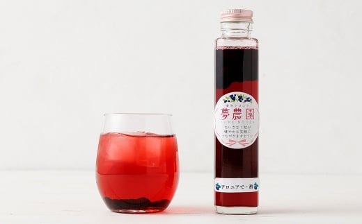 アロニアで・酢 170g×3本 計510g 国産 飲む お酢 アロニア 希釈