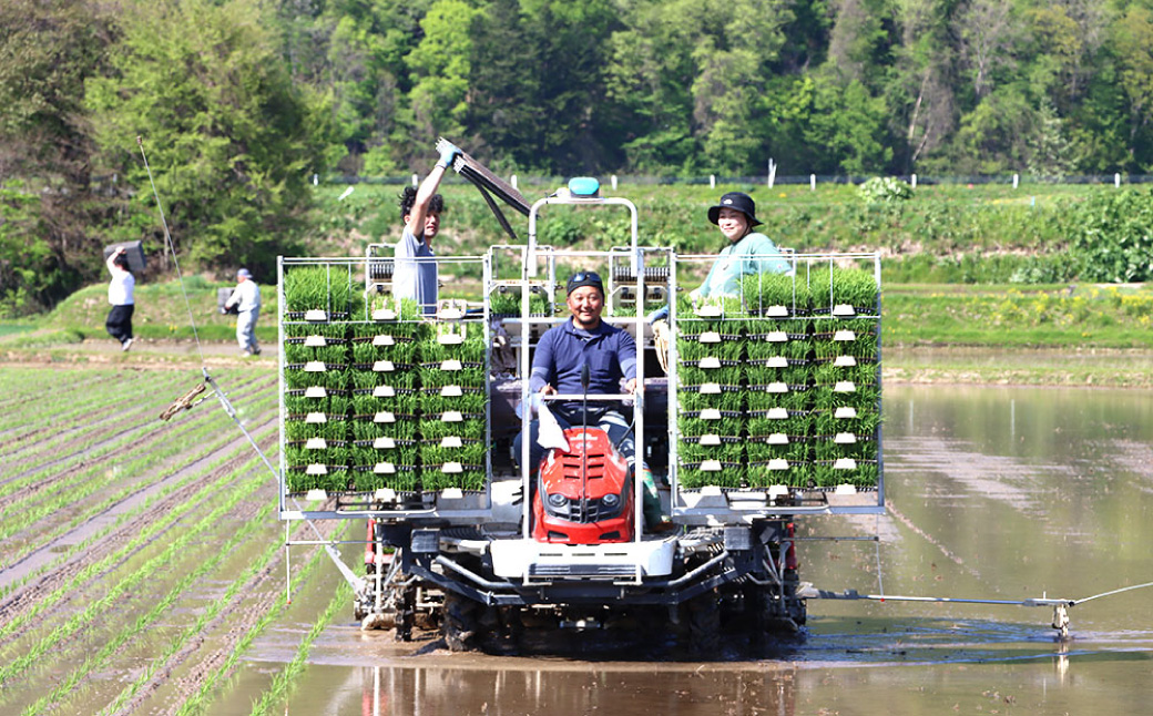 令和7年度産 ななつぼし 10kg 米 精米 白米 【2025年10月下旬～2026年3月下旬発送予定】 011-0025