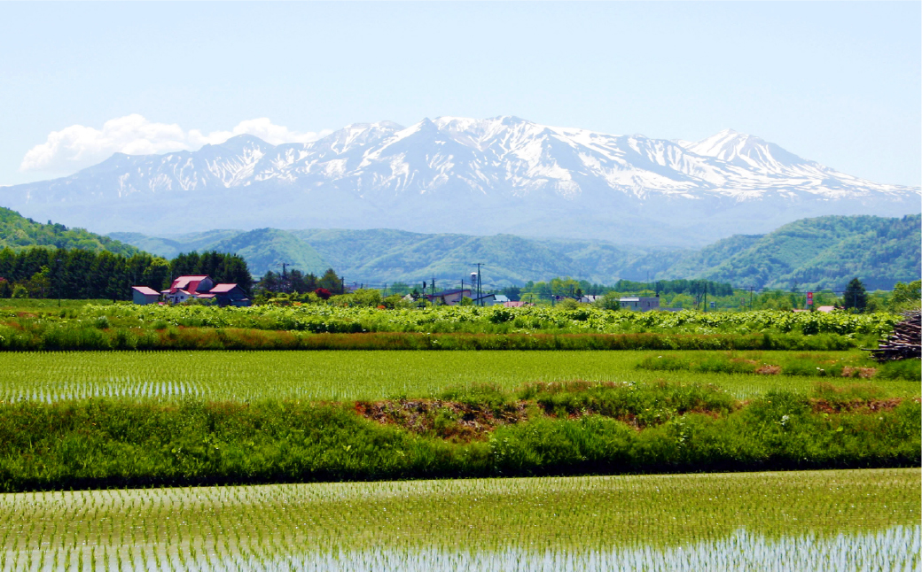愛別町への寄附 1,000円 （返礼品はありません）
