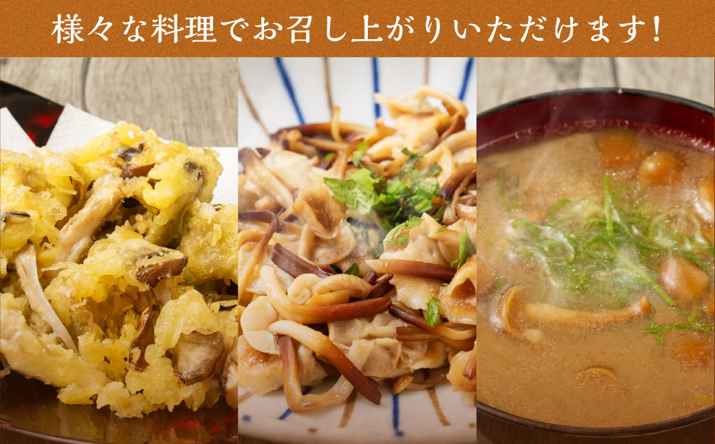 きのこ詰合せ（6種類）セット【B05201】