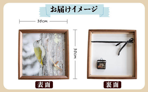 おしゃれ 掛け時計 野鳥時計 【ヤマゲラ】【G15107】
