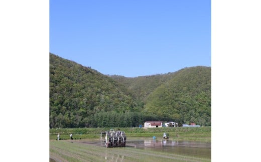 令和7年度産 ゆめぴりか 10kg 米 精米 白米 【2025年10月下旬～2026年3月下旬発送予定】 011-0026