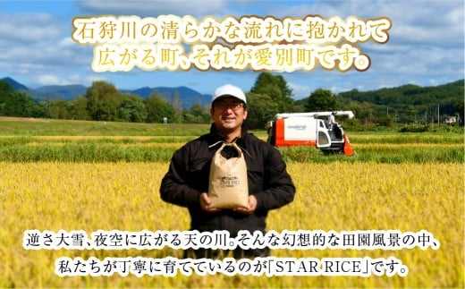 【11回定期便】 ななつぼし （2合×5パック） ×11回 計16.5kg｜ 最上品質米 ご飯 ごはん 米 お米 おこめ ライス こめ コメ おにぎり リゾット パエリア お弁当 小分けサイズ 真空 長期保存 家庭用 自宅用 産地直送 北海道 愛別町