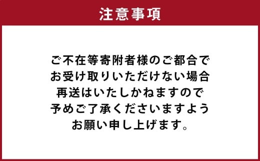 カラダ想いのスパイスカレープラスワン