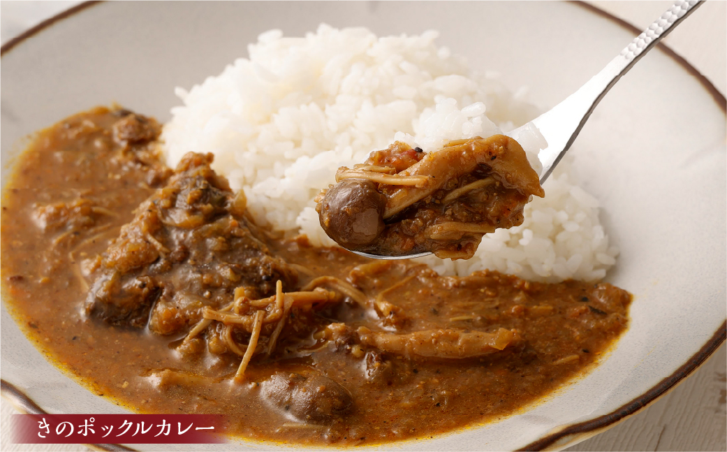 カラダ思いのスパイスカレー便り 5種セット 手作りカレー レトルトカレー スパイスカレー カレー 冷蔵