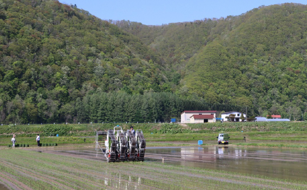 令和7年度産 ゆめぴりか 10kg 米 精米 白米 【2025年10月下旬～2026年3月下旬発送予定】 011-0026