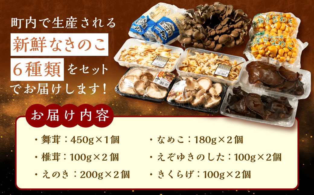 きのこ詰合せ（6種類）セット【B05201】