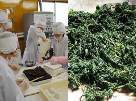 切り餅 丸餅 セット【E16206】