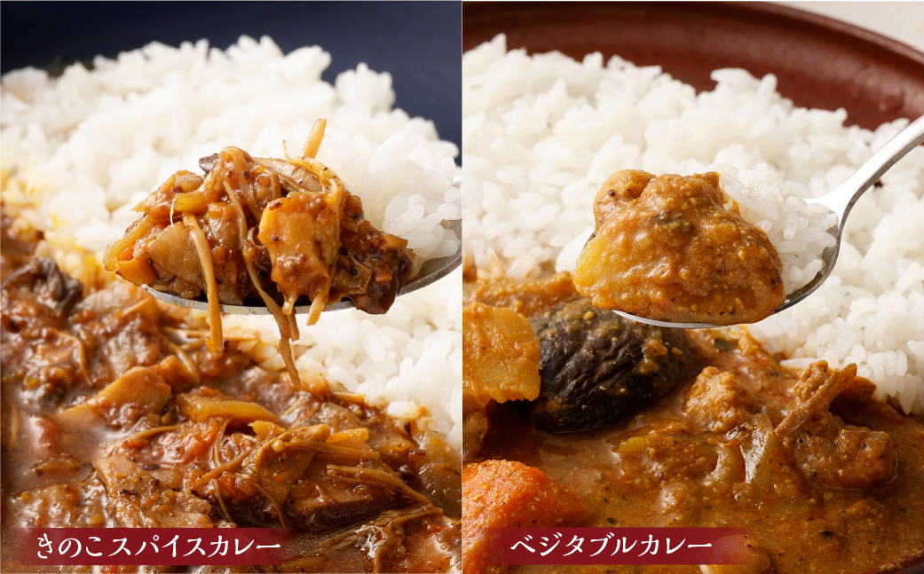 カラダ思いのスパイスカレー便り 5種セット 手作りカレー レトルトカレー スパイスカレー カレー 冷蔵