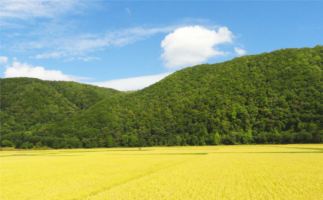 愛別町への寄附 5,000円 （返礼品はありません）