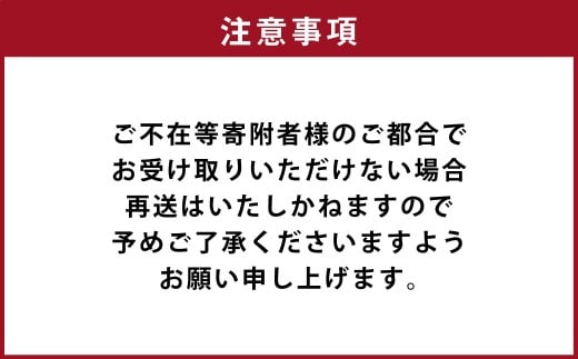 カラダ想いのスパイスカレー
