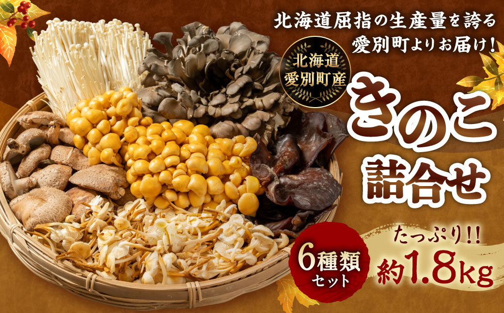 きのこ詰合せ（6種類）セット【B05201】