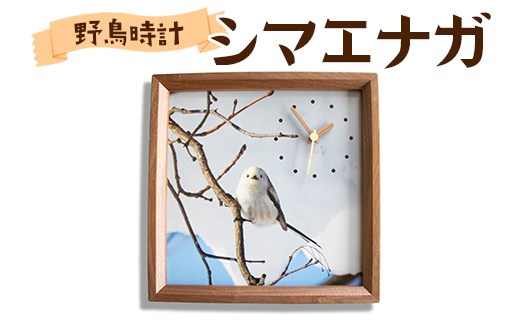 おしゃれ 掛け時計 野鳥時計 【シマエナガ】【G13105】