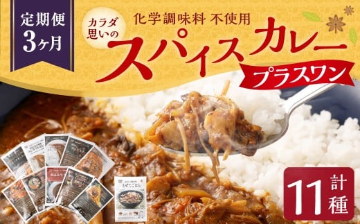 カラダ想いのスパイスカレープラスワン