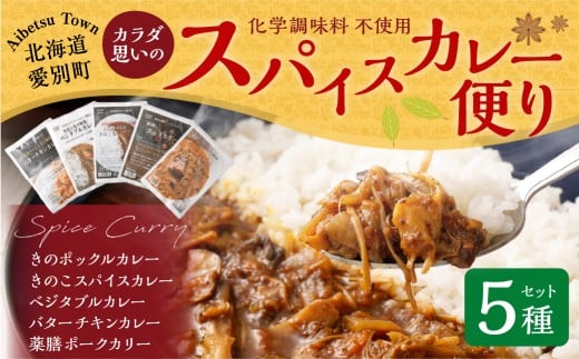 カラダ思いのスパイスカレー便り 5種セット 手作りカレー レトルトカレー スパイスカレー カレー 冷蔵