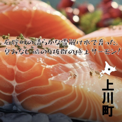 【北海道大雪サーモン 鮭味噌】160g ご飯のお供や酒の肴に ゴロっと鮭、ほぼ鮭!な贅沢な瓶詰め