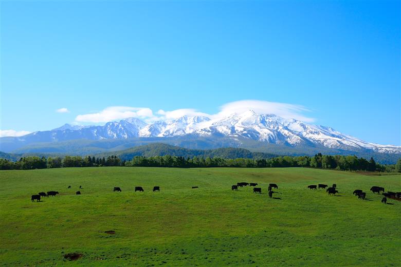 北海道上川町ＡＮＡトラベラーズホテル割引クーポン15,000点分