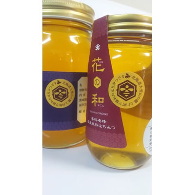 北海道上川町産　純粋はちみつ600g×1本(シナ)300g×1本(百花)【1301】