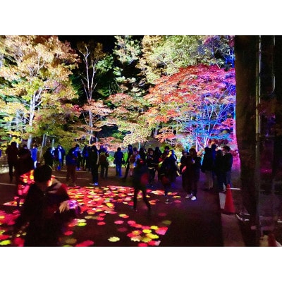 【2026年9月中旬～10月中旬開催】奇跡のイルミネート 2026のデザインができる権利