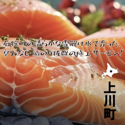 【北海道大雪サーモン 鮭味噌】160g×3 ご飯のお供や酒の肴に ゴロっと鮭、ほぼ鮭!な贅沢な瓶詰め