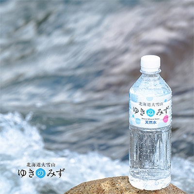 【2ヵ月毎定期便】北海道大雪山　ゆきのみず　550ml×24本入り【635】全2回