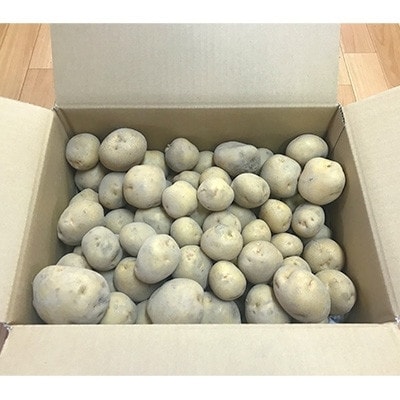 【発送月固定定期便】北海道産じゃがいも　北あかり約10kg(岸田農園産)全2回