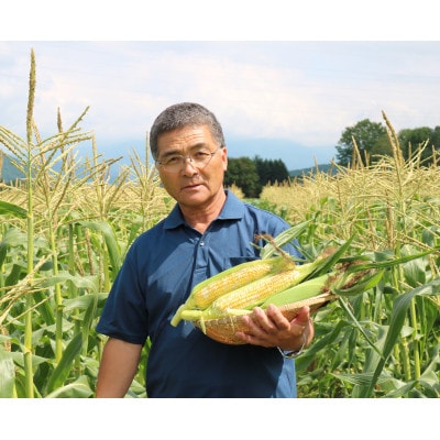 2025年度産　「頑固オヤジのパンチコーン」5~6本【配送不可地域：離島】