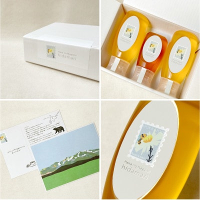 北海道上川町産純粋はちみつ　1300g(シナ500g×2本・百花300g×1本)【1303】