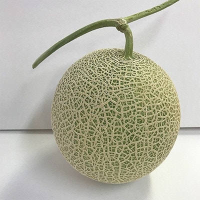 特大サイズ【2026年夏発送】岸田農園産北海道メロン2玉入り(サイズ:1玉2.5kg以上)【213】