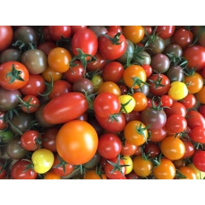 『旬なお野菜をお届け!』約10種類お野菜詰め合わせセットをお届けします!【岸田農園産】【配送不可地域：離島】