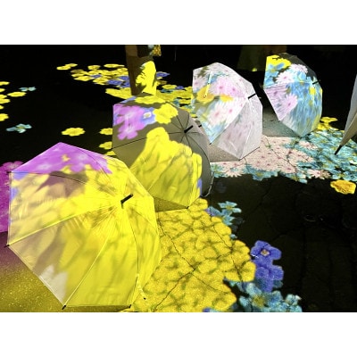 【2026年9月中旬～10月中旬開催】奇跡のイルミネート 2026のデザインができる権利