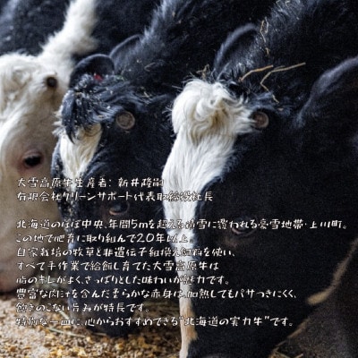 大雪高原牛100%ハンバーグカレー250g×3箱 有名店ガクヤバーガー監修の男前仕立て 常温保存可