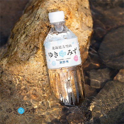 【毎月定期便】北海道大雪山　ゆきのみず　550ml×24本入り全10回【618】