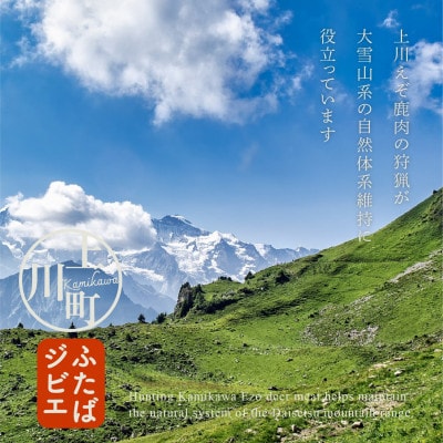 ハンターが営む鹿肉加工工場の「上川えぞ鹿肉 ロースステーキ」500g【4000】【配送不可地域：離島】