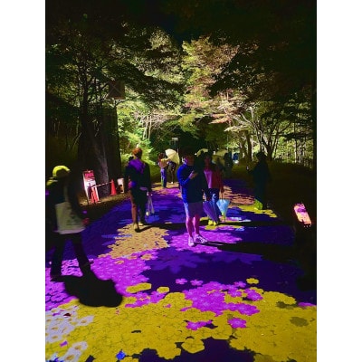 【2026年9月中旬～10月中旬開催】奇跡のイルミネート 2026のデザインができる権利