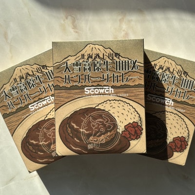 大雪高原牛100%ハンバーグカレー250g×3箱 有名店ガクヤバーガー監修の男前仕立て 常温保存可