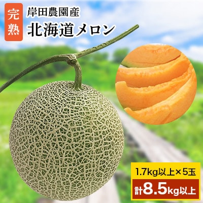 【2026年夏発送】岸田農園産 北海道メロン 5玉入り(サイズ:1玉1.7kg以上)【203】