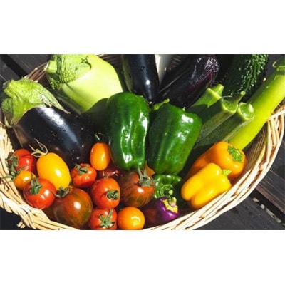 『旬なお野菜をお届け!』約10種類お野菜詰め合わせセットをお届けします!【岸田農園産】【配送不可地域：離島】