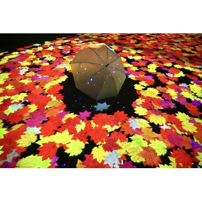 【2026年9月中旬～10月中旬開催】奇跡のイルミネート 2026のデザインができる権利