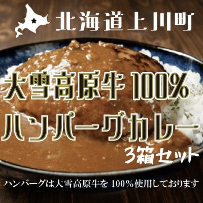 大雪高原牛100%ハンバーグカレー250g×3箱 有名店ガクヤバーガー監修の男前仕立て 常温保存可