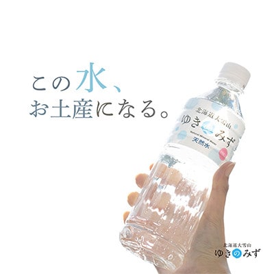 【2ヵ月毎定期便】北海道大雪山　ゆきのみず　550ml×24本入り【634】全3回