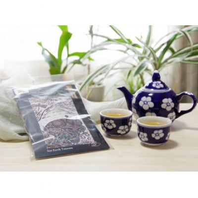 【毎月定期便】くま笹茶 焙煎 ティーバッグ 3個セット【 北海道 上川 大雪山 】【3002】全9回