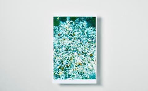 安永ケンタウロス「水辺のポートレート 」大判ポストカードセット