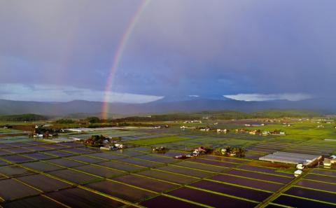 飯塚達央 フレーム入り写真