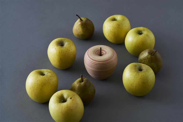 カードホルダー「ringo」【レッドオレンジ】 レッドオレンジ W102mm×D102mm×H105mm