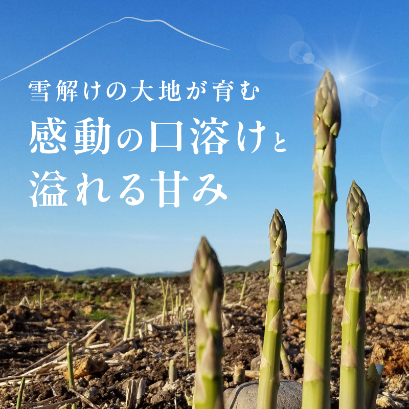 【大坪農園】≪2026年 先行予約≫ 春の恵み　北海道東川町産アスパラガス　2Lサイズ　1㎏