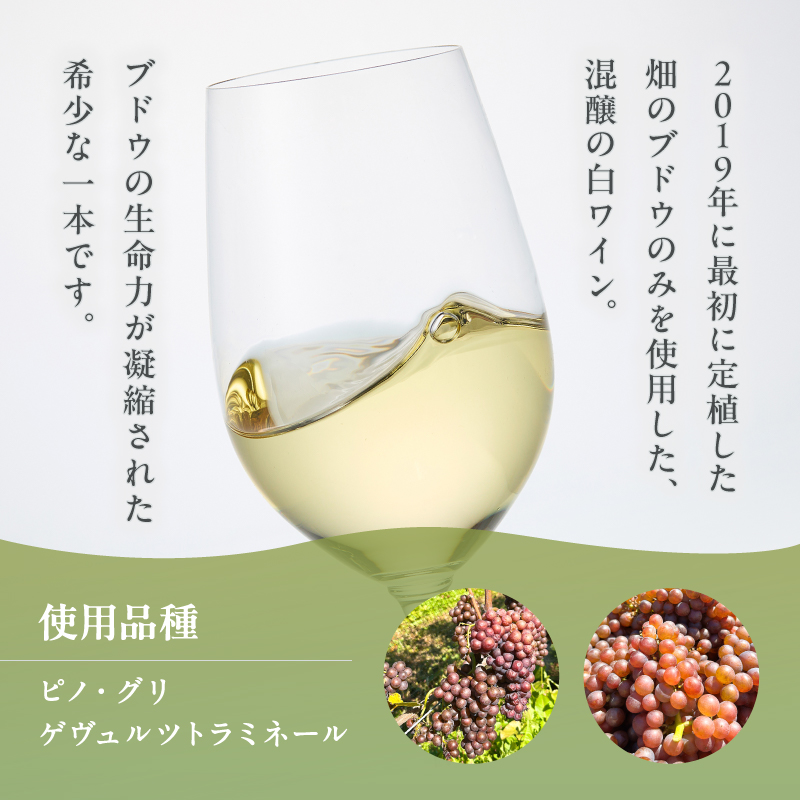 【大坪農園】TONOTO VINEYARD　トノトの白　2024（東川ワイン）