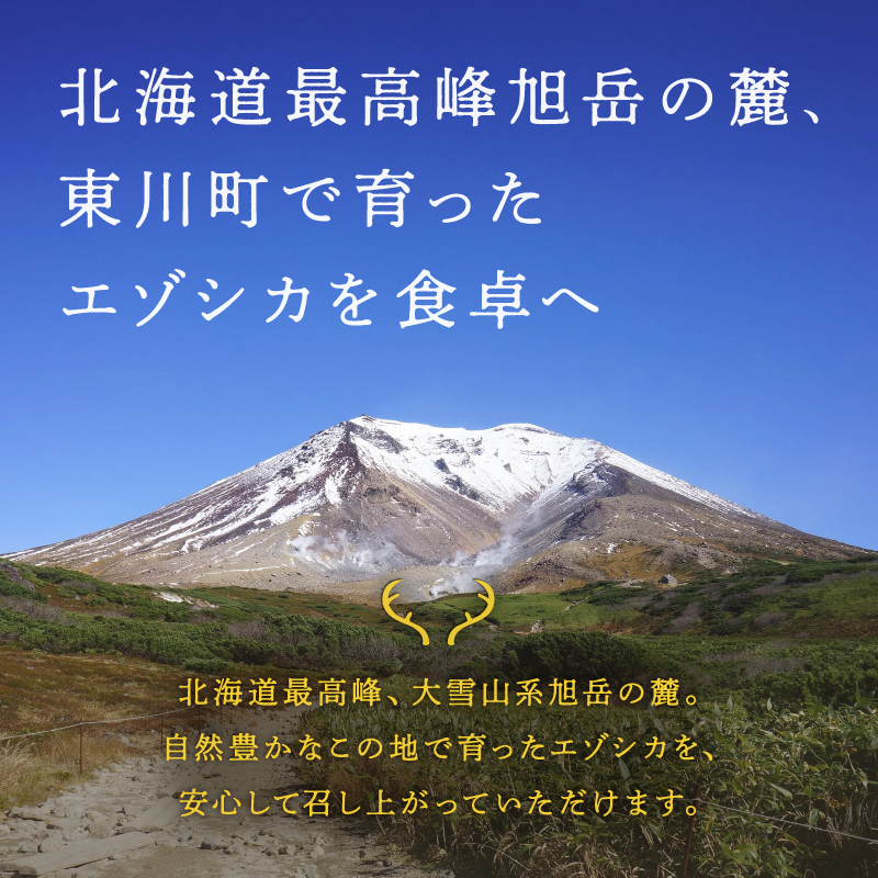 大雪山麓エゾシカシリーズ　鹿肉カレー3食セット